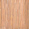 Bambuaita 100x400cm