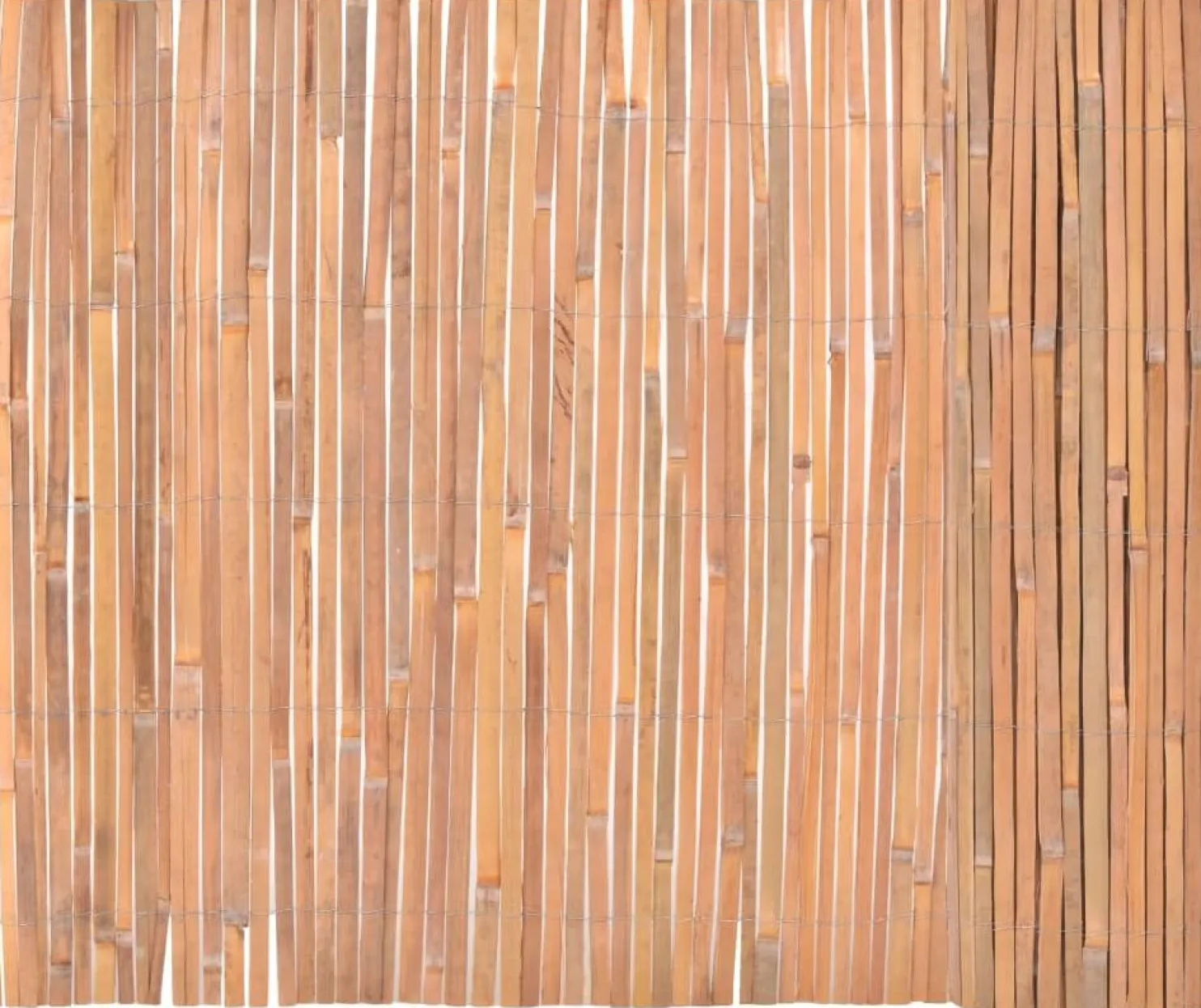 Bambuaita 100x400cm