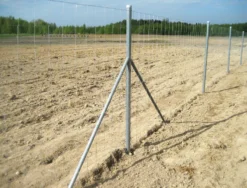 Eläinverkko Zn 1,2x50 m muuttuva silmäkoko (50 m)