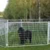 Koiratarhan peruselementti Jämpti Pro MINI 115x200 cm kuumasinkitty