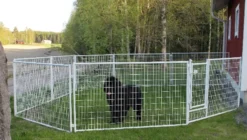 Koiratarhan peruselementti Jämpti Pro MINI 115x200 cm kuumasinkitty