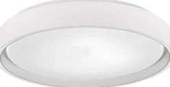 LED-kattovalaisin Trio Felis, 40cm, mattavalkoinen