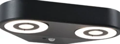 LED-ulkoseinävalaisin Paulmann Silma 2-osainen 280x176mm 3000K 2x5.5/2x0.7W 2x600lm hämäräohjattu liiketunnistin IR