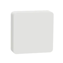 Lämpötila- ja kosteusmittari Schneider Electric Wiser Zigbee