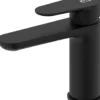 Pesuallashana Bathlife Lyster, musta