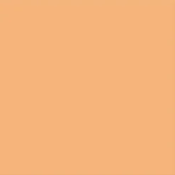 Seinälaatta Pukkila Harmony Amber, kiiltävä, sileä, 147x147mm