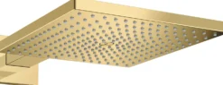 Yläsuihku Hansgrohe Raindance E 300 Air 1jet, seinäsuihkuputki, piiloasennus, kiiltävä kulta